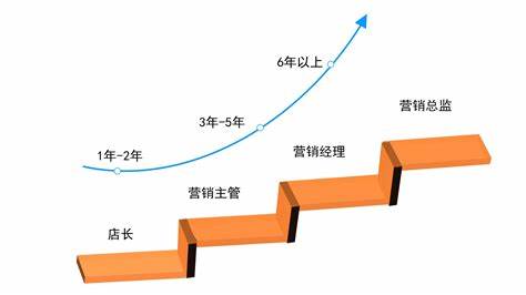 数据分析师的晋升空间和路径