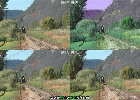 RE:Vision Effects出品的色彩匹配/修复插件 RE:Match 含汉化版本 « 新CG儿-AE插件下载网