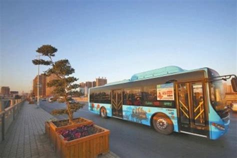即日开通！坐上公交直通车，读懂洛阳古代艺术|洛阳市|公交|古墓_新浪新闻