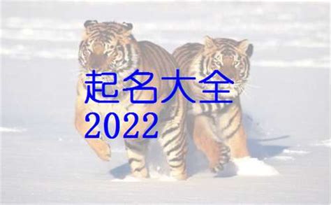属虎2022年运程,2022关于虎的吉祥物？_2345实用查询