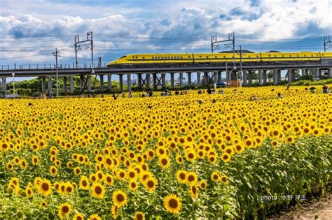 日本岐阜県大垣市いつかの空夕焼け雲图片