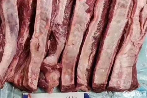 2023牛肉最新价格多少钱一斤？