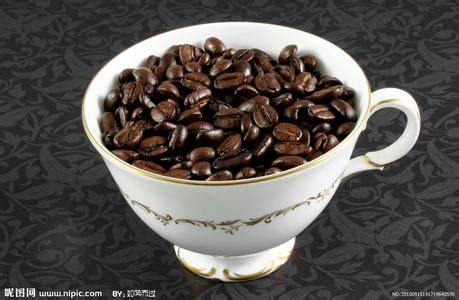 西达摩咖啡的介绍风味描述口感特点处理法研磨刻度简介 中国咖啡网 04月26日更新