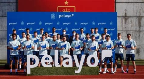 欧洲杯24名球员集结，西班牙国家队拍摄全家福_PP视频体育频道