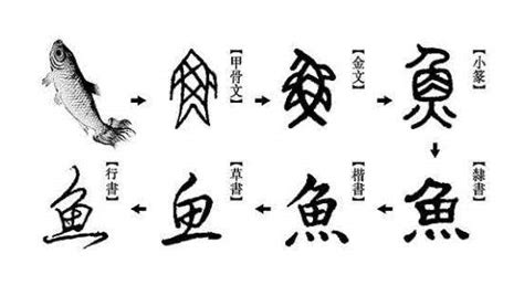 汉字演变过程图片
