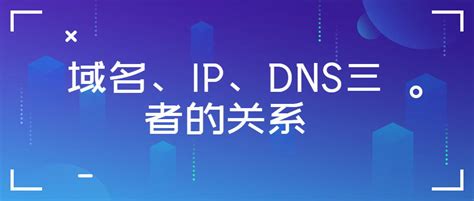 什么是IP？什么是域名？DNS又是什么(这三者有什么关联关系）-8848SEO