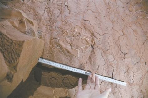 地质勘察员在夹江县千佛岩景区旅游时无意中发现恐龙足迹化石 - 化石网