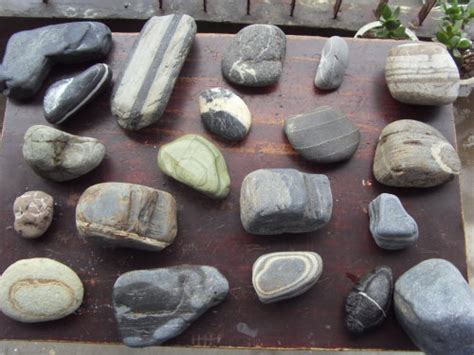 各种各样的石头介绍,石头种类及图片大全,各种石头的样子和名称_大山谷图库