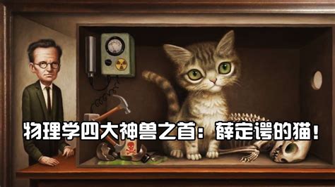 物理学四大神兽之首，薛定谔的猫，到底蕴含了什么样的秘密？
