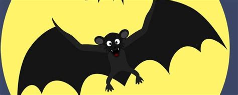 蝙蝠app是干嘛的 - 业百科