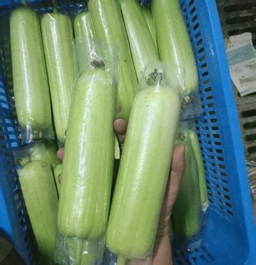丝瓜市场上价格多少钱一斤？ - 惠农网