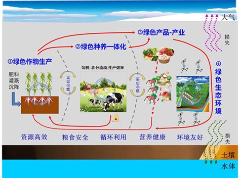 中国农业大学曲周实验站 综合新闻 省电视台记者来站拍摄关于科技小院节目