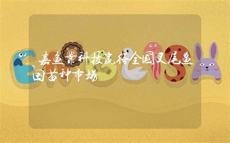 嘉鱼县人民政府门户网站