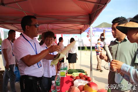 2022年顺平县农特产品产销对接项目第二届河口乡桃王争霸赛成功举行|2022年|顺平县-企业资讯-川北在线