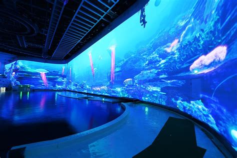 上海海洋水族馆门票_上海海洋水族馆旅游攻略_上海上海海洋水族馆攻略/地址/图片/门票价格【同程攻略】