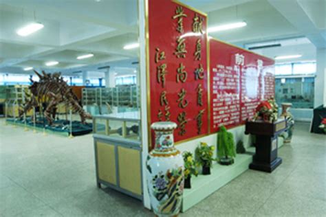 学校环境 - 郑州工业贸易学校
