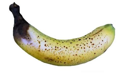 超级清晰的香蕉常见病害照片_病虫草图_191农资人 - 农技社区服务平台