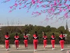 茉莉广场舞中国梦-响扇舞 20人变队形_广场舞教学视频_广场舞地盘