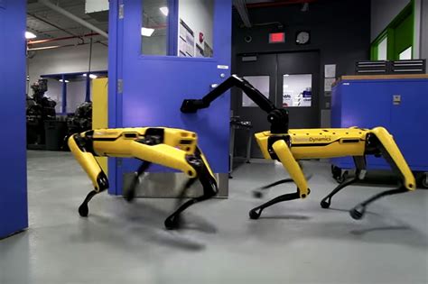 波士顿动力机器人学会360度翻跟头 黄狗款即将开卖_手机新浪网
