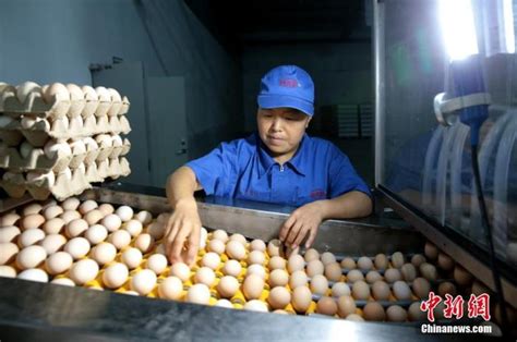 一个月涨价约20% 中国鸡蛋价格缘何飞涨？-经济-内蒙古新闻网