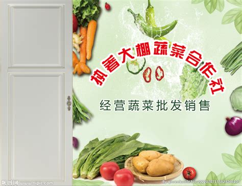武汉市强鑫蔬菜产销专业合作社--武汉市强鑫|强鑫蔬菜|蔬菜产销|产销专业合作社
