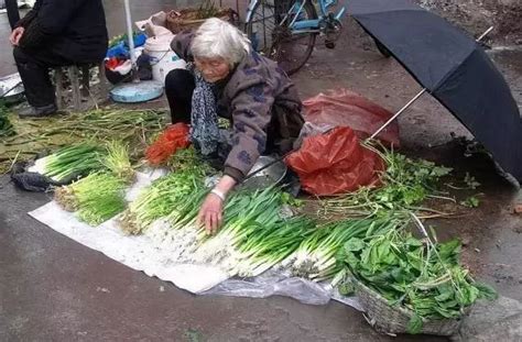 八旬老人卖菜收到百元假币伤心痛哭 热心市民有的换走假币有的买下所剩蔬菜-中国庆元网