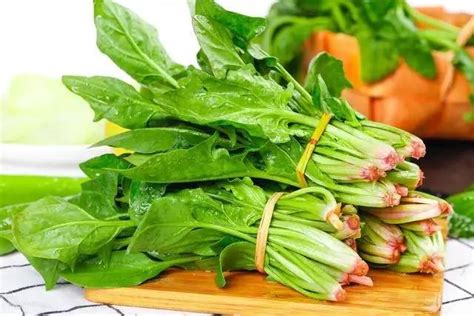根准备在农民市场出售的菠菜团健康纤维高清图片下载-正版图片307856204-摄图网