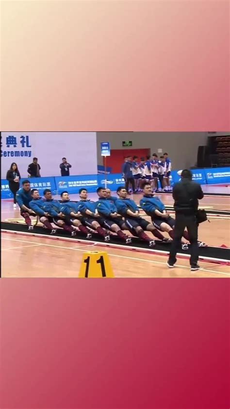 世界拔河锦标赛中国对荷兰_腾讯视频