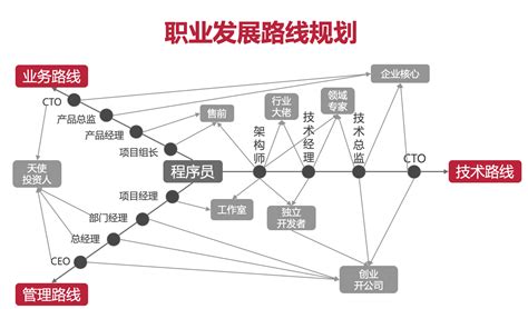 数据报告 | 2018年中国程序员研究报告（附下载）-CDA数据分析师官网