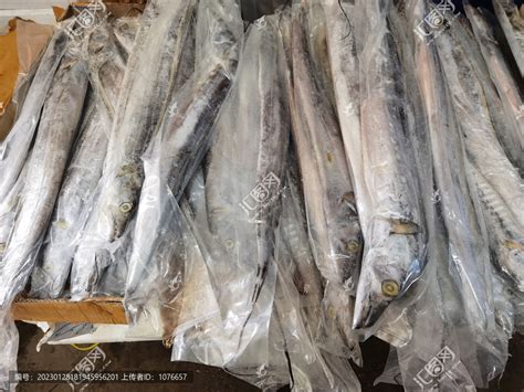 上麟记冷冻国产东海精品带鱼段 三去纯中段700g/袋 刀鱼深海鱼海鲜水产-商品详情-菜管家