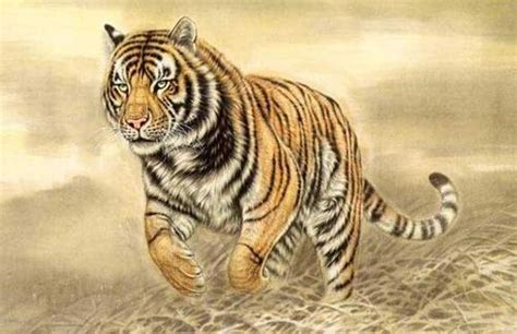 74年的虎是什么命五行属性，虎是什么属性