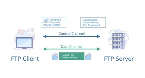 How Does an FTP Server Work? | ExaVault Blog