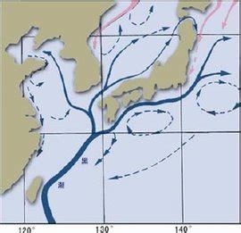 地理干货 | 世界海洋表层洋流的分布_暖流_高纬度_寒流