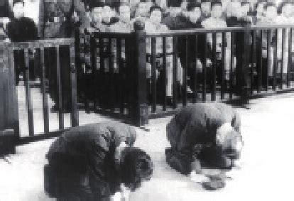 纳粹集中营集体埋尸体照 - 图说历史|国外 - 华声论坛