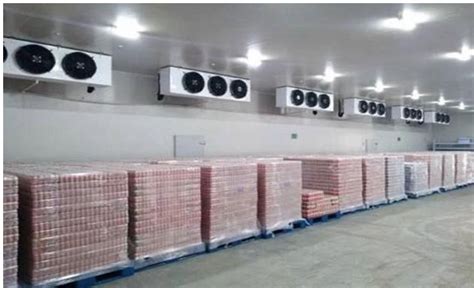 冷库的常见分类和特点-行业新闻-深圳市卓冷机电设备有限公司