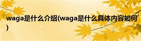 waga是什么介绍(waga是什么具体内容如何)_公会界