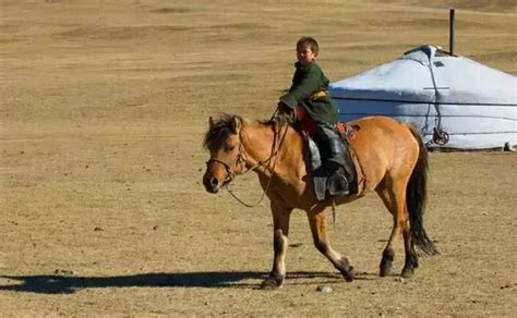 蒙古国是一个怎样的国家，为什么国人很少去旅游？|蒙古|蒙古国|领土_新浪新闻