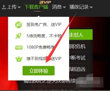 爱奇艺VIP黄金会员3个月季卡视频会员季卡vip官方充不支持电视端_虎窝淘
