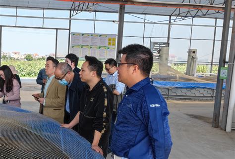 水产养殖温室-水产养殖温室-北京新华农源温室工程技术有限公司