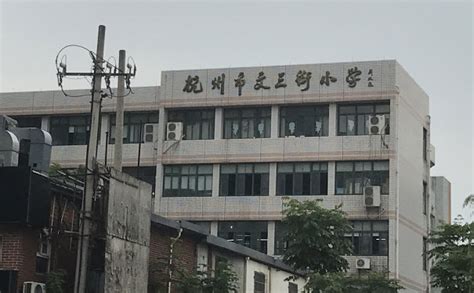 杭城部分民办小学（含民转公）2023年派位信息一览 - 杭州学区房