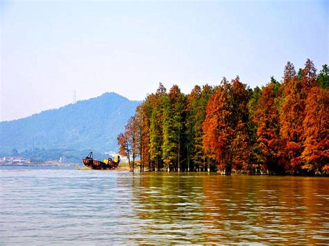鸟瞰航拍 青山湖国家湿地公园-重庆鸟瞰文化传播有限公司