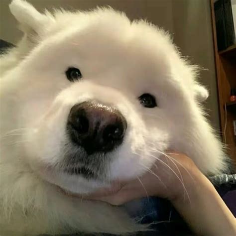 恶搞头像非主流
