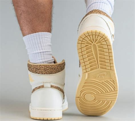 今日上脚球鞋一览：施罗德脚踏Nike 2K4亮相_凤凰网