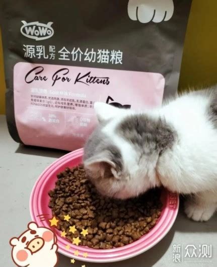 猫咪不能吃的东西有哪些呢？_爱喵咪,爱生活