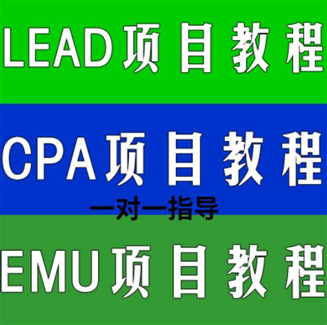 Lead国外广告联盟CPA撸美金emu全套视频教程零基础软件工具-淘宝网