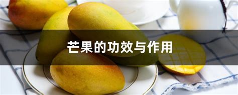 芒果的营养价值与食用功效 有关芒果的营养简介_知秀网