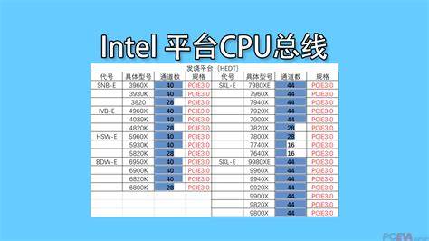 cpu的总线结构分哪三类