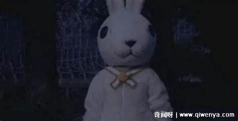 美国恐怖兔人的传说（兔子人——美国恐怖故事，都市传说。） | 说明书网