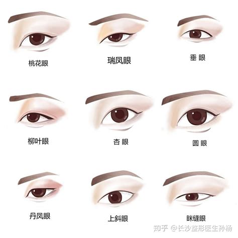 鹿眼眼型图片