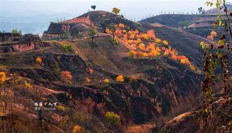 陕西清涧：乡村景如画-人民图片网